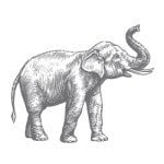 One Kings Lane discount code